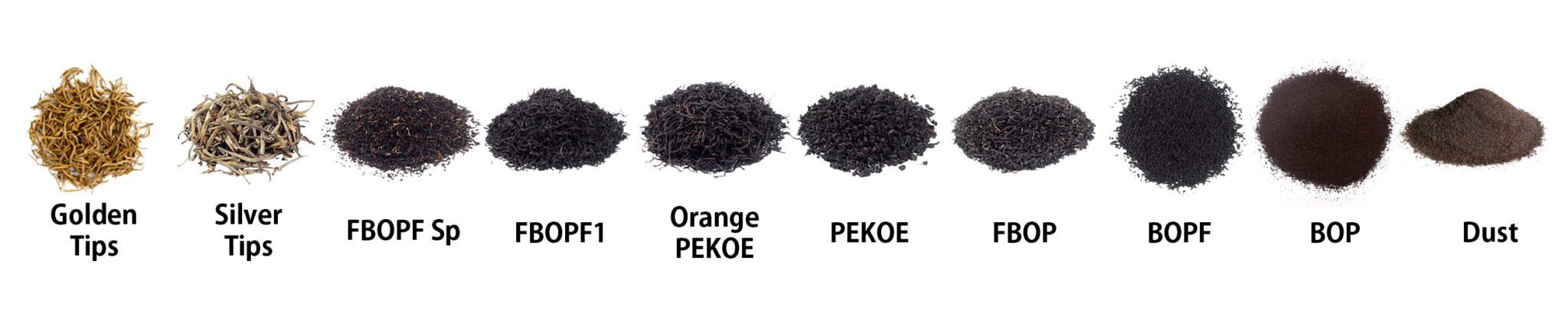 Basics of Ceylon Tea – AZ Teas Japan | エーゼットティーズジャパン